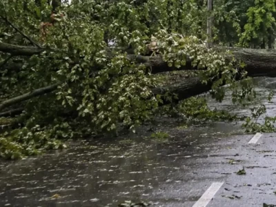 Groźna noc na Mazowszu. Żywioł narobił szkód